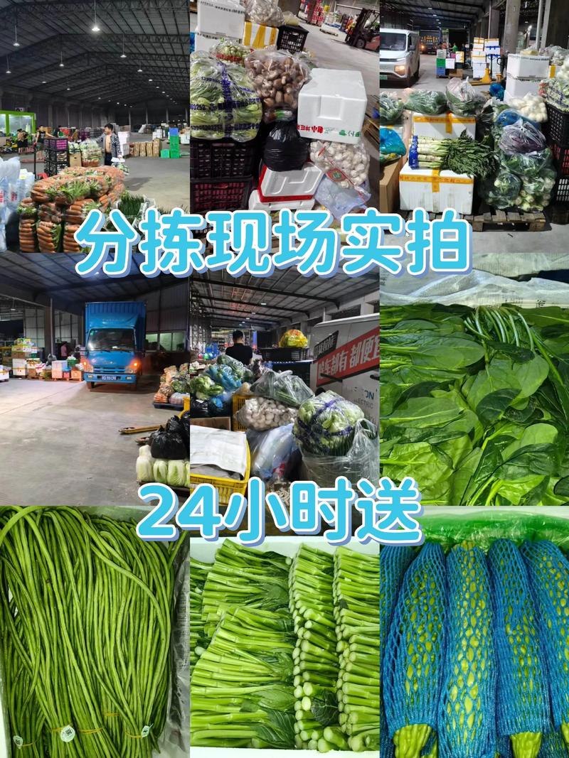 莱阳梨：金果的传奇